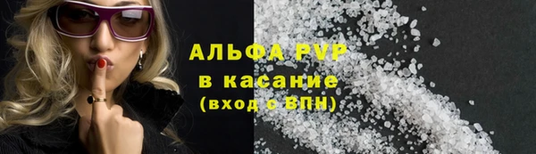 шишки Киренск