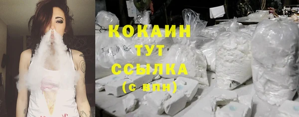 прущие грибы Надым