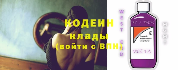 прущие грибы Надым