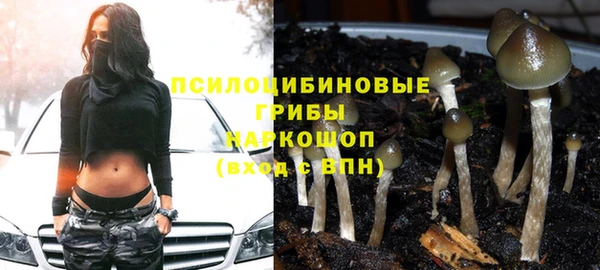 стаф Кинешма