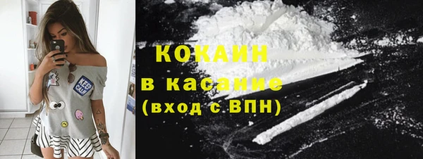 прущие грибы Надым