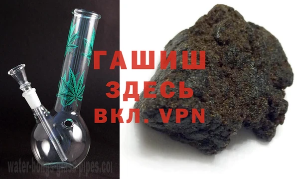 прущие грибы Надым